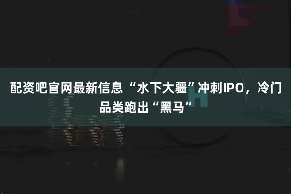 配资吧官网最新信息 “水下大疆”冲刺IPO，冷门品类跑出“黑马”