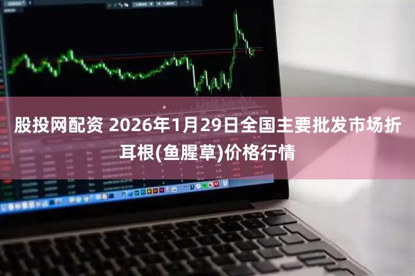 股投网配资 2026年1月29日全国主要批发市场折耳根(鱼腥草)价格行情